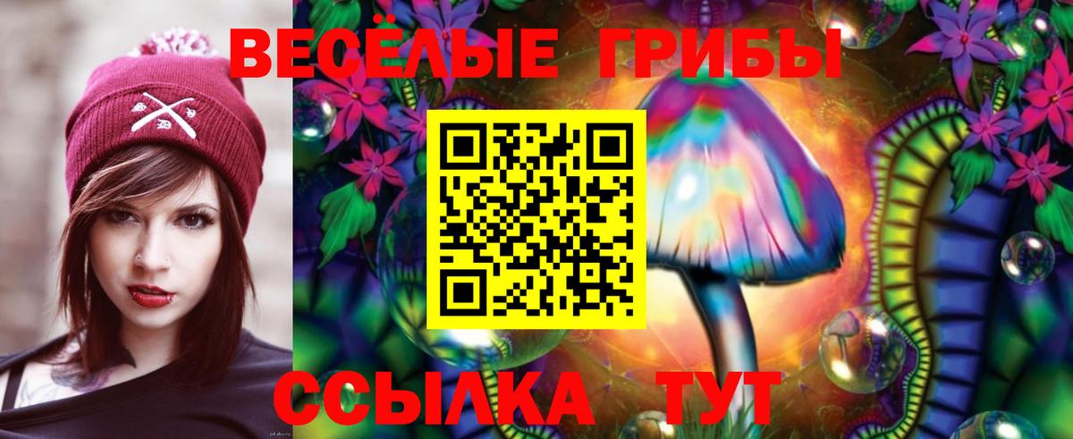 Псилоцибиновые грибы мухоморы Иваново